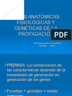 Bases Anátomicas, Fisiológicas y Genéticas de La Propagación