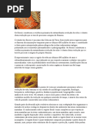 Bio - A evoluçao dos fosseis e a origem da vida.docx