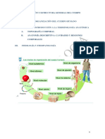 Ud 1. Estructura y Organización General Del Cuerpo Humano