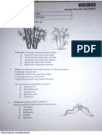 Biologi 03