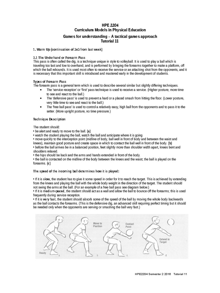 Hpe 2204 Tutorial 11 16 | PDF | Volleyball | Athletic Sports