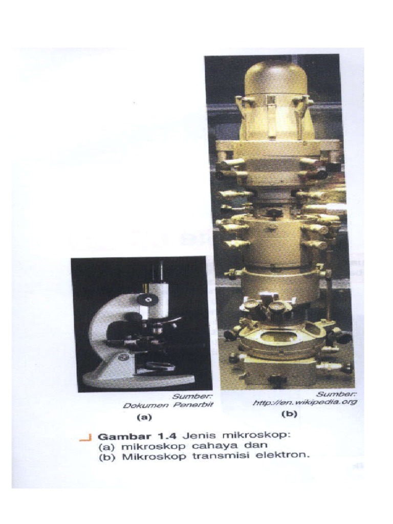 Fungsi dan Struktur Bagian Sel | PDF