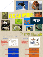 Animals Classificacio