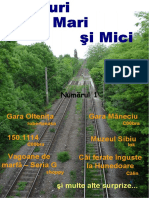Trenuri-Mari-Si-Mici.pdf