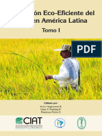 2010_Degiovanni-Produccion_eco-eficiente_del_arroz (1).pdf