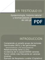 CANCER TESTÍCULO (I)