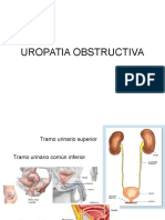 Uro Pat i a Obstruct Iva