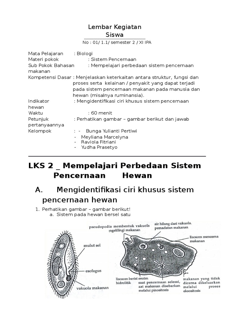Lembar Kegiatan Siswa Sistem Pencernaan Docx