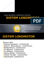 Sistem Lokomotor