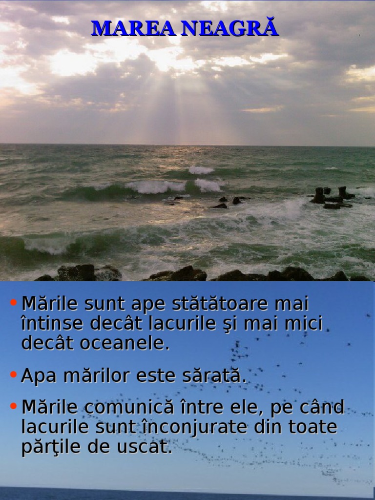 Marea Neagra | PDF