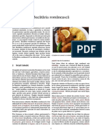 Bucătăria românească (3).pdf