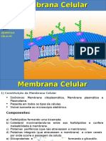 Aula Membrana Celular