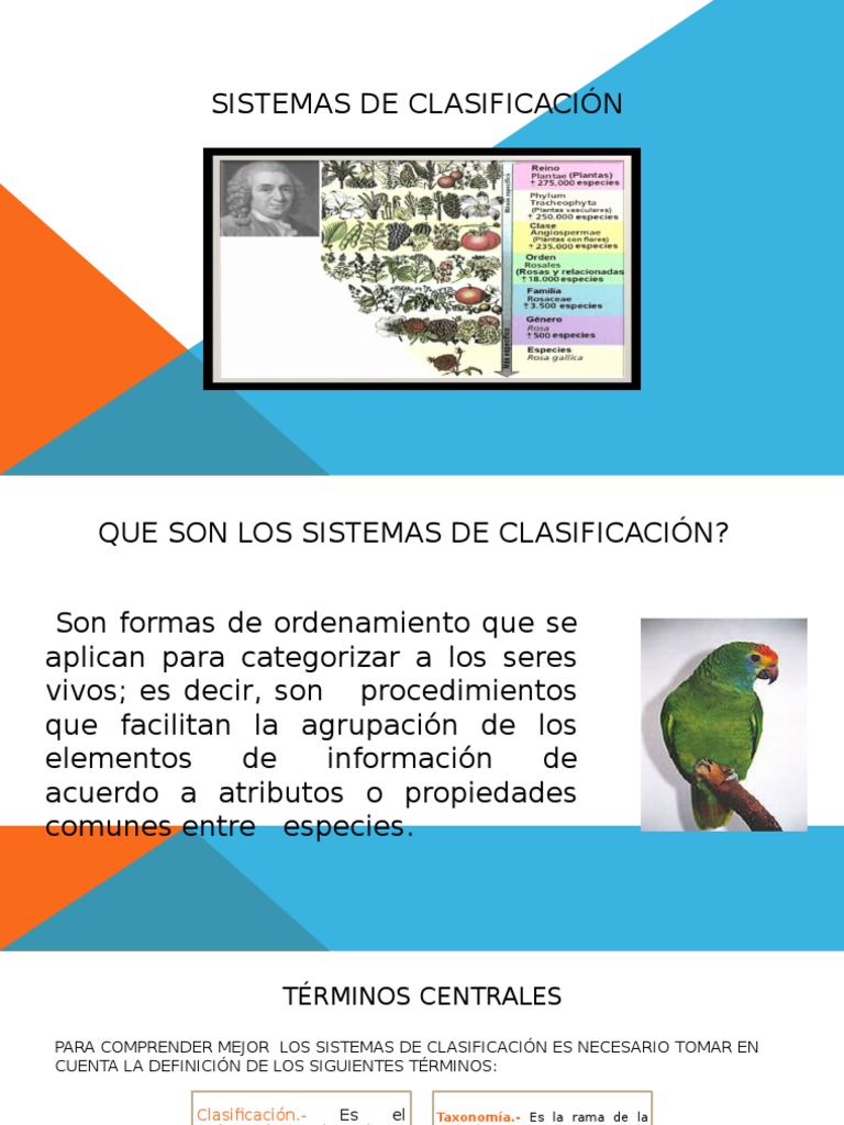 Clasificación Taxonómica de Linneo Taxonomía (biología) Taxón