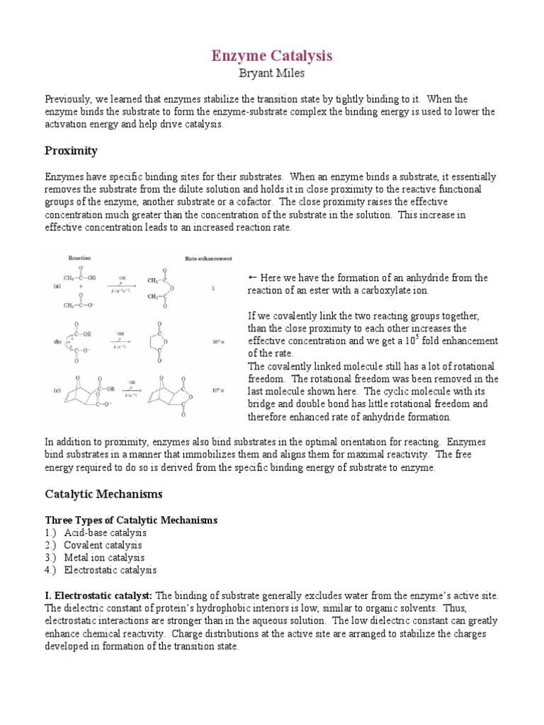 Bich411 Enzyme Catalysis PDF | PDF | Catalysis | Enzyme