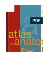 Anatomie Atlas