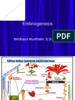 Embriogenesis Somatik Vs Zigotik