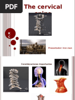 Kinetic Control Cervical