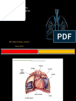 Aparato respiratorio.pdf