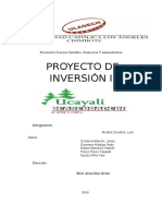 Proyecto de Inversión 