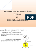 5-Diferenciao celular.pptx