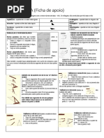 Ficha de Apoio Geometria