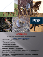 Artropodes