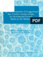 Age determination of sea turtle.pdf