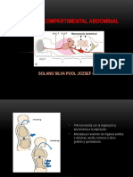 Sindrome Compartimental Abdominal 