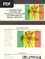 Leishmaniose Visceral