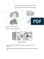 Biologi Kertas 1