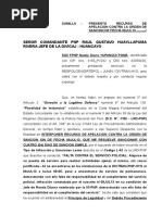 APELACION YUPANQUI.doc