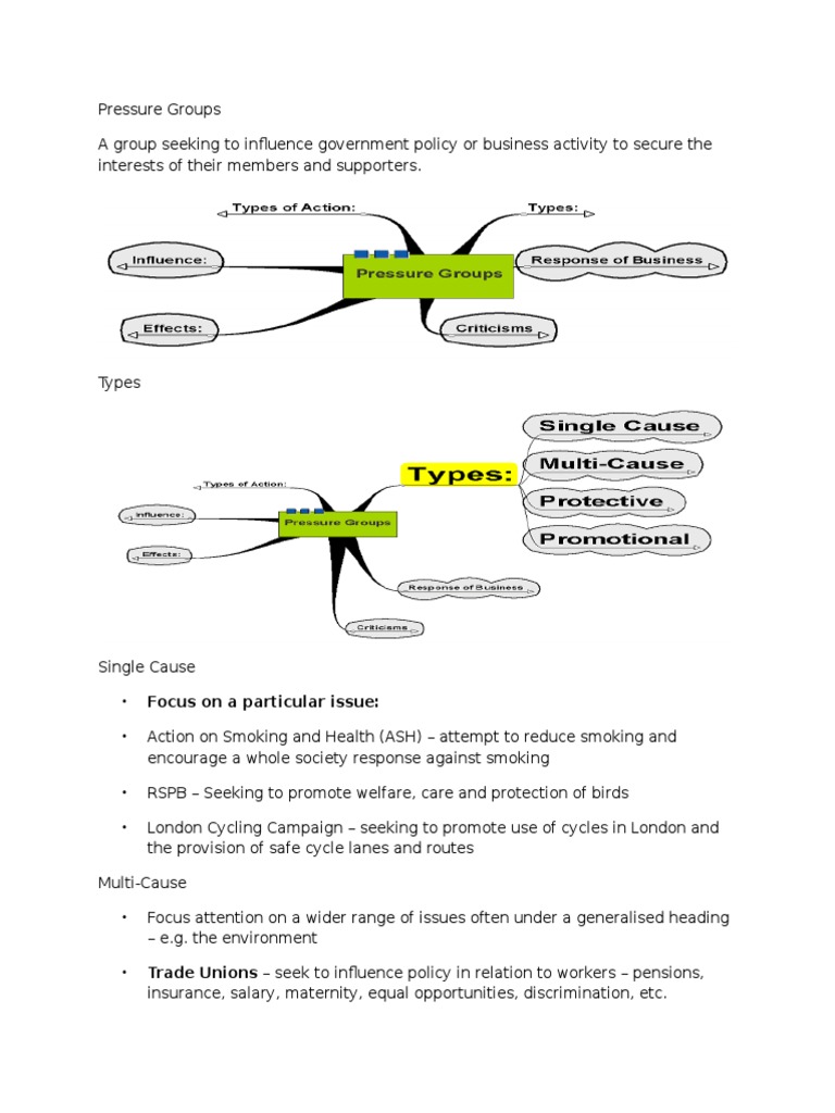 All About Pressure Groups | PDF | Democratic Party (United States