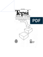 Manual Del Tepsi