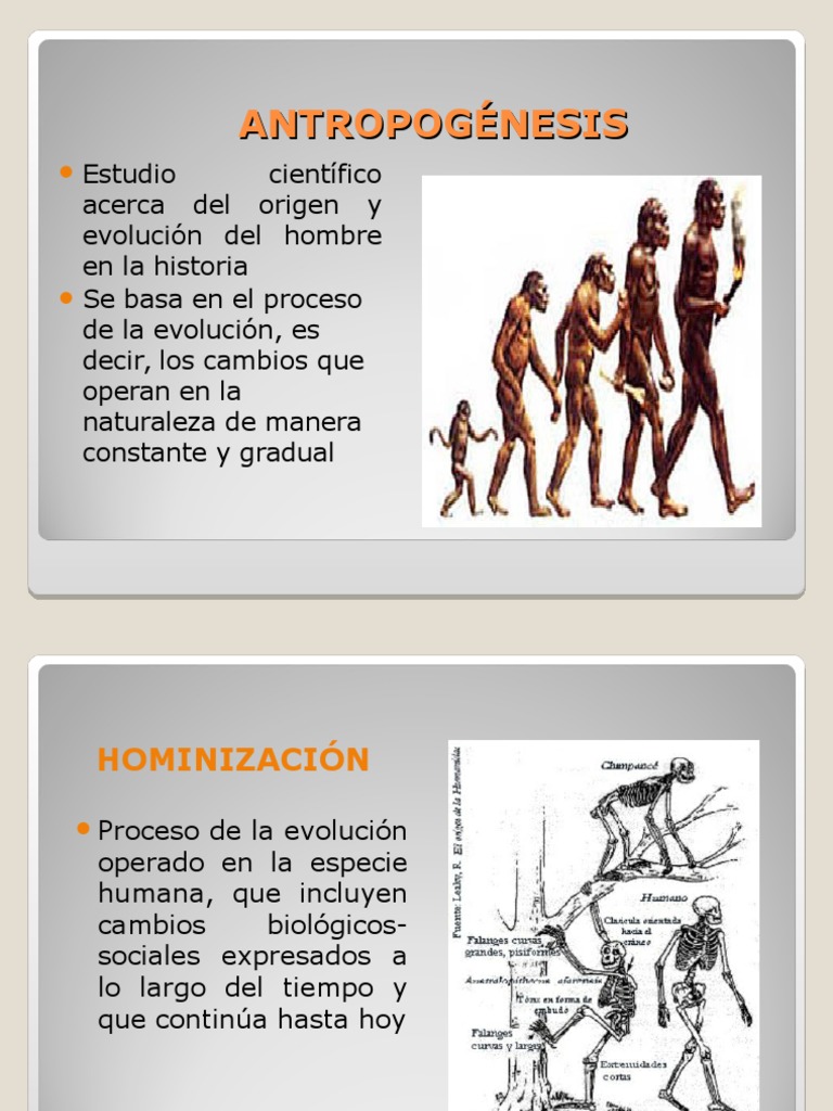 Evolución Humana y Teorías Clave | PDF | Teorías biológicas | Evolución