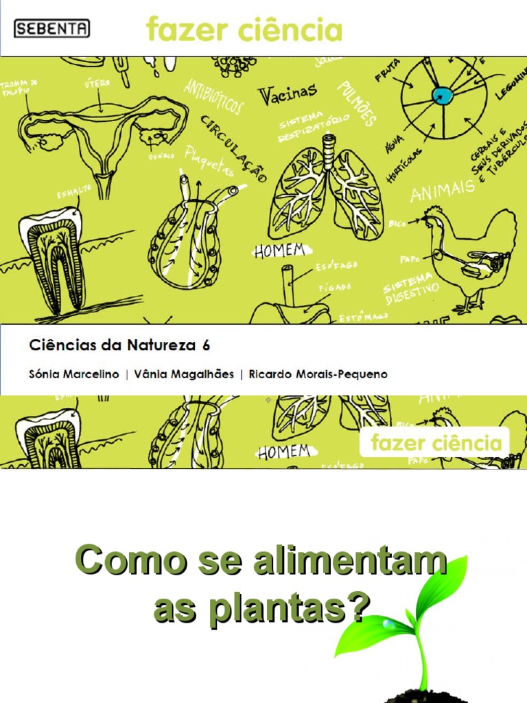 Como Se Alimentam As Plantas | Plantas | Fotossíntese