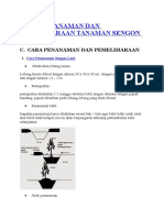 Cara Penanaman Dan Pemeliharaan Tanaman Sengon Laut