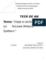 Teza Istorie Milescu Spataru