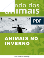 Animais No Inverno