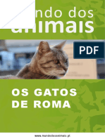 Os Gatos de Roma 