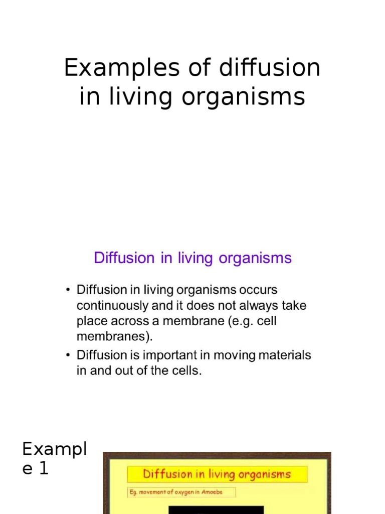 Diffusion Examples in Organisms | PDF | Science & Mathematics