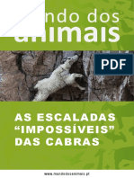 As Escaladas "Impossíveis" das Cabras 