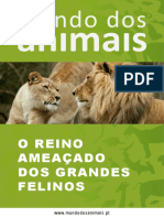 O Reino Ameaçado dos Grandes Felinos 