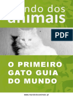 O Primeiro Gato Guia do Mundo 