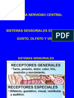 Anatomía de Los Órganos de Los Sentidos