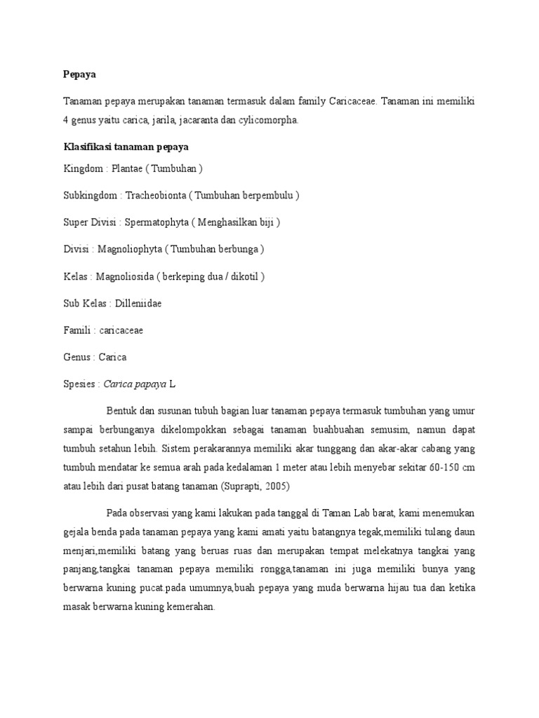 Contoh Laporan Hasil Observasi Pohon Pepaya