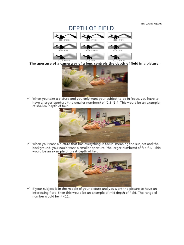 Understanding Depth of Field in Photography | PDF