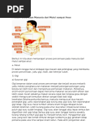 Download Proses Pencernaan Manusia Dari Mulut Sampai Anus by bethanurvia SN328283089 doc pdf