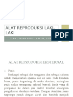 Alat Reproduksi Laki-Laki: Oleh: Indah Nurul Haviva, S.Kep