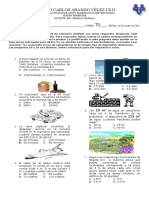 Prueba Tipo Saber Septimo Periodo 3 Corregida