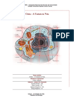celula (1).pdf